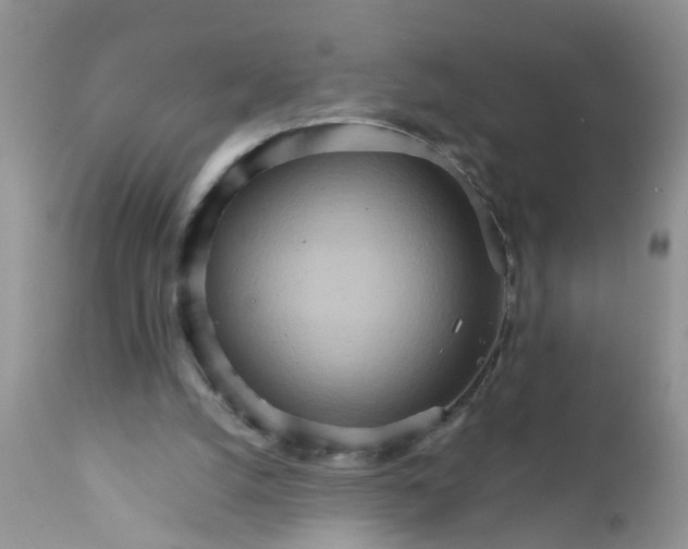 X0000111900056200908171248