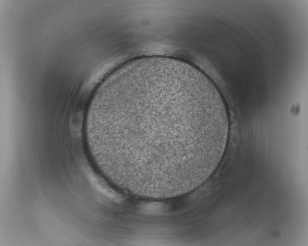 X0000111900058200908171248