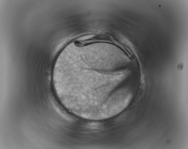 X0000111900059200908171248