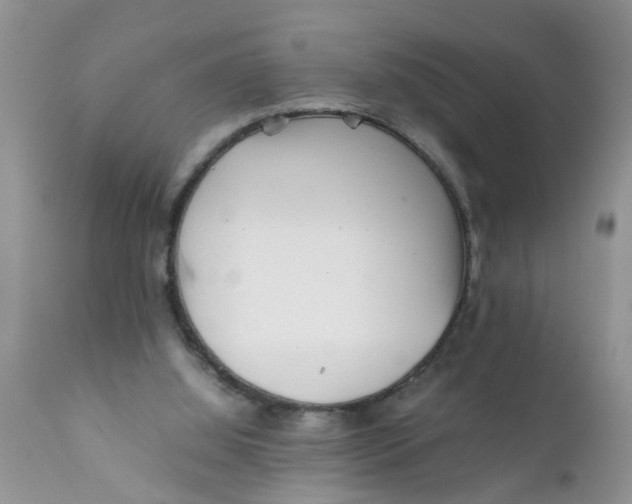 X0000111900060200908171248