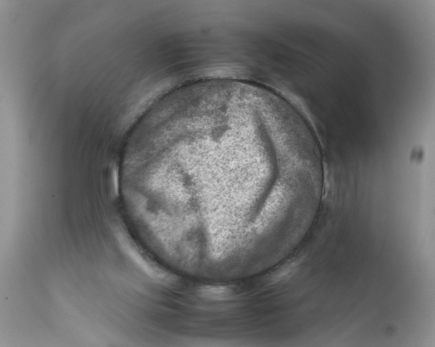 X0000111900061200908171248