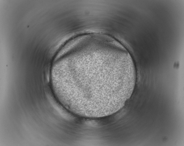 X0000111900062200908171248