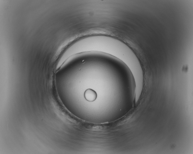 X0000111900064200908171248