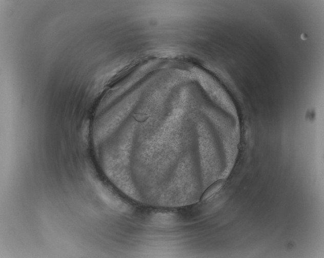 X0000111900066200908171248