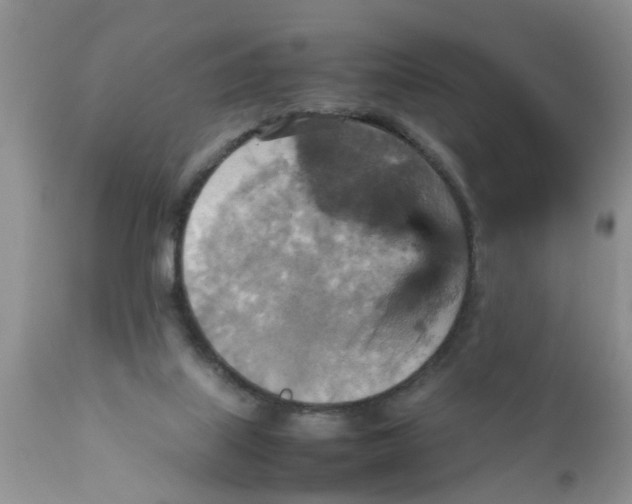 X0000111900067200908171248