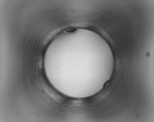 X0000111900068200908171248