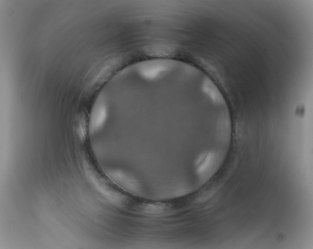 X0000111900069200908171248