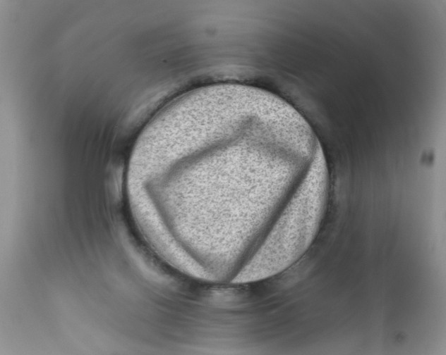 X0000111900070200908171248