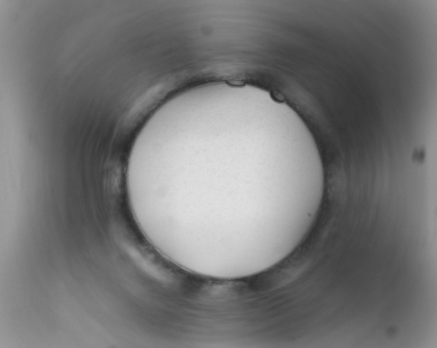 X0000111900072200908171248