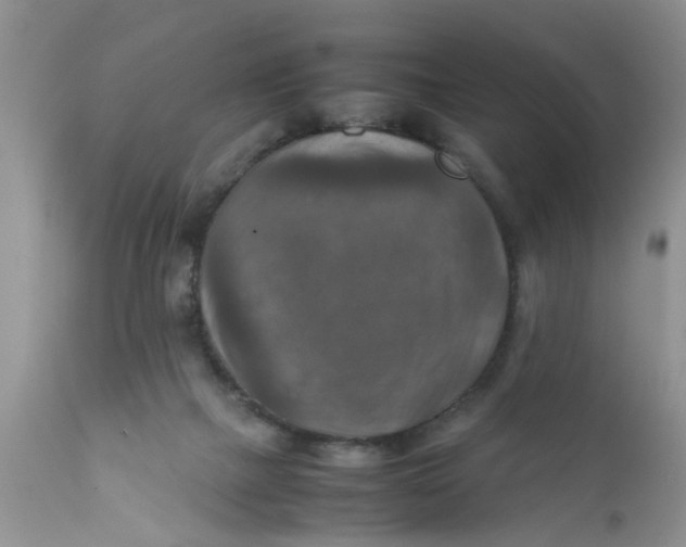 X0000111900073200908171248