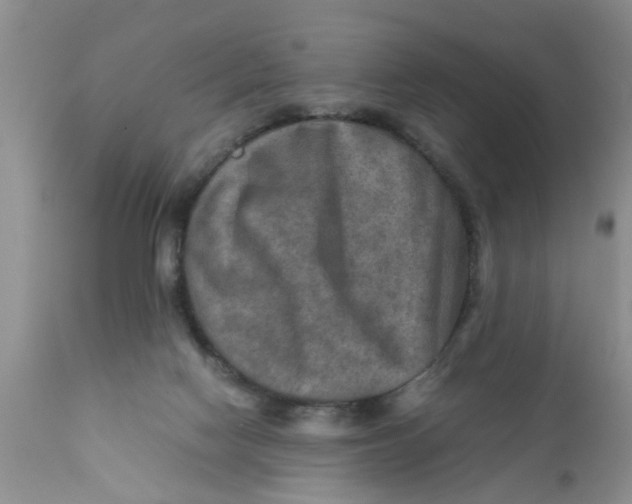 X0000111900074200908171248