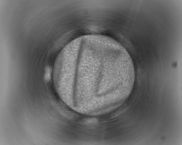 X0000111900075200908171248