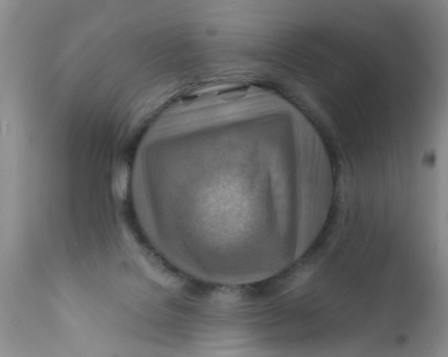 X0000111900076200908171248