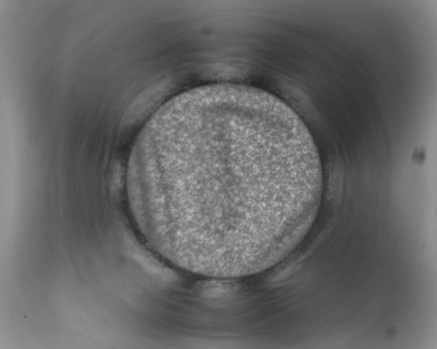 X0000111900077200908171248