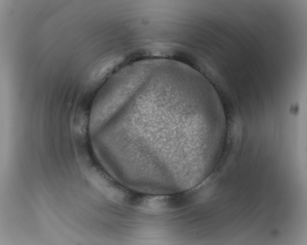 X0000111900078200908171248