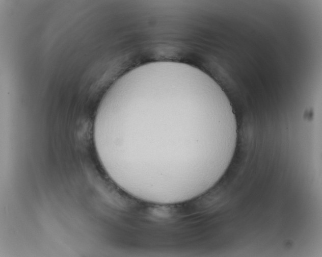 X0000111900079200908171248