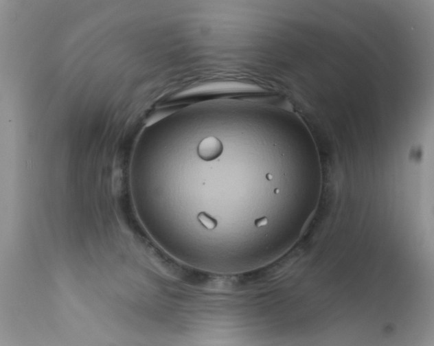 X0000111900080200908171248