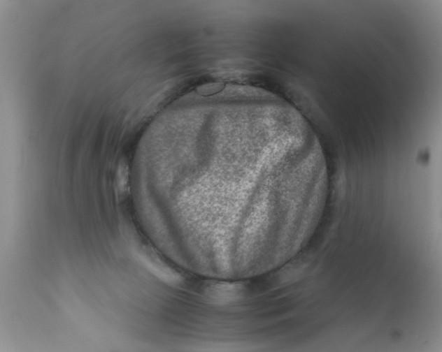 X0000111900081200908171248