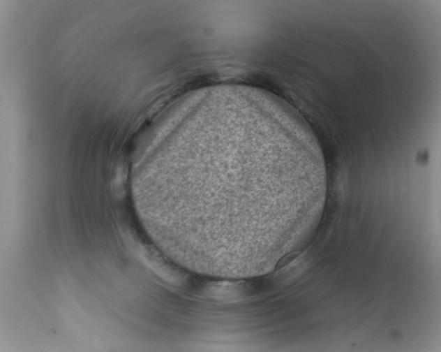 X0000111900082200908171248