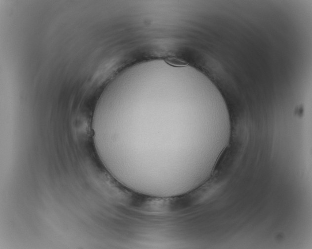 X0000111900084200908171248