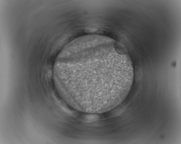 X0000111900085200908171248