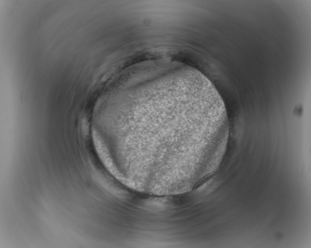 X0000111900086200908171248