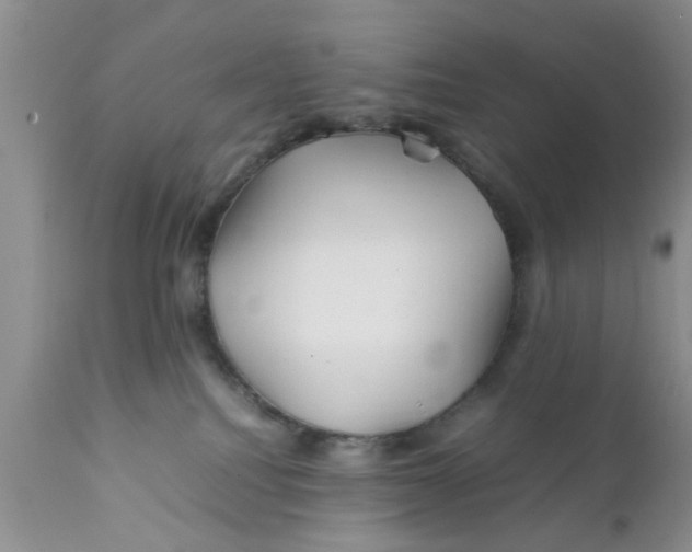 X0000111900088200908171249