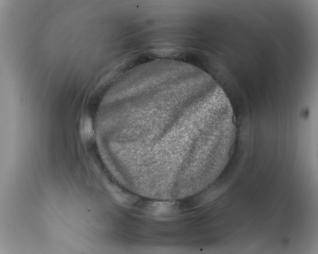 X0000111900089200908171249