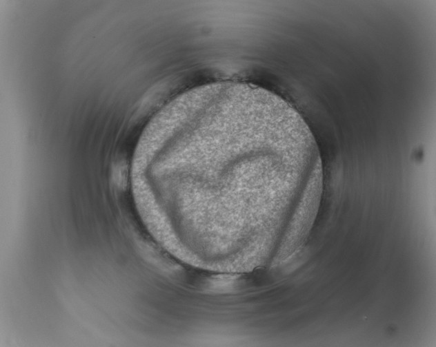 X0000111900090200908171249