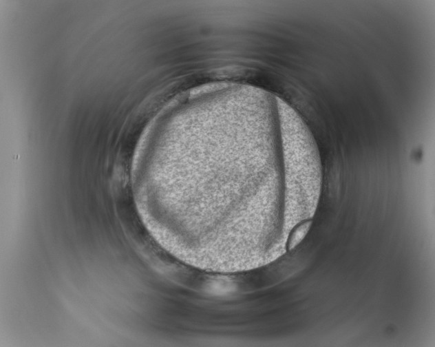 X0000111900091200908171249