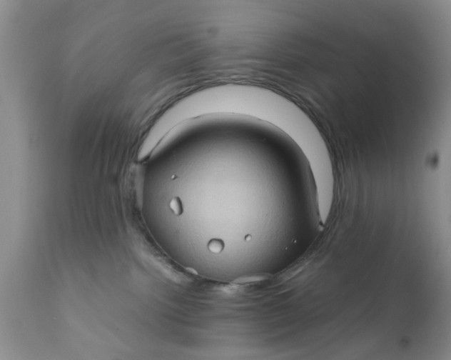 X0000111900092200908171249