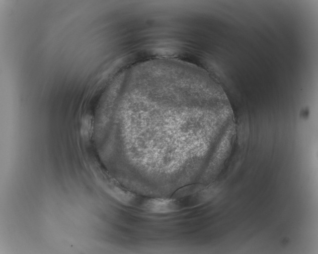 X0000111900093200908171249