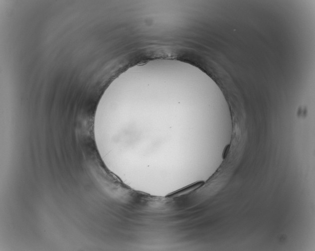 X0000111900096200908171249