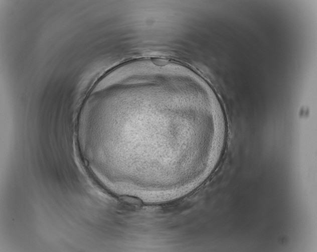 X0000111900097200908171248