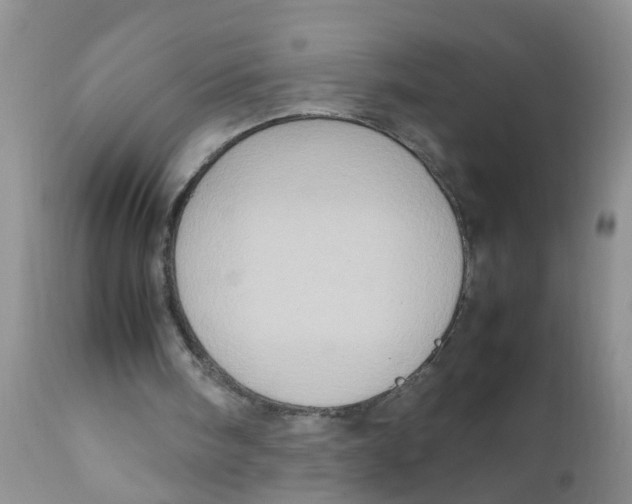 X0000111900098200908171248