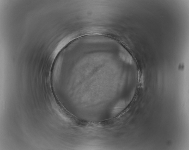 X0000111900099200908171248