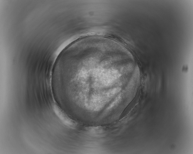 X0000111900100200908171248