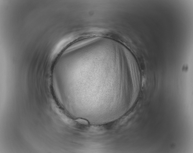 X0000111900101200908171248