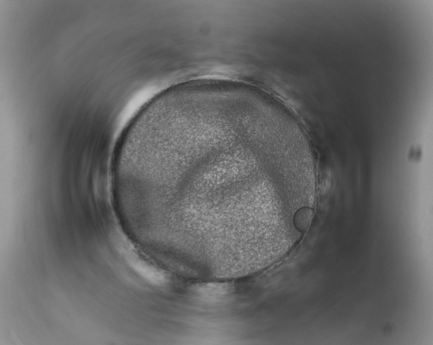 X0000111900102200908171248