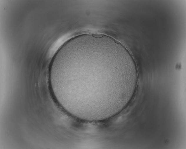 X0000111900103200908171248