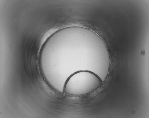 X0000111900104200908171248