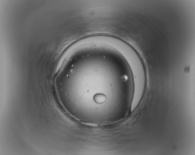 X0000111900105200908171248