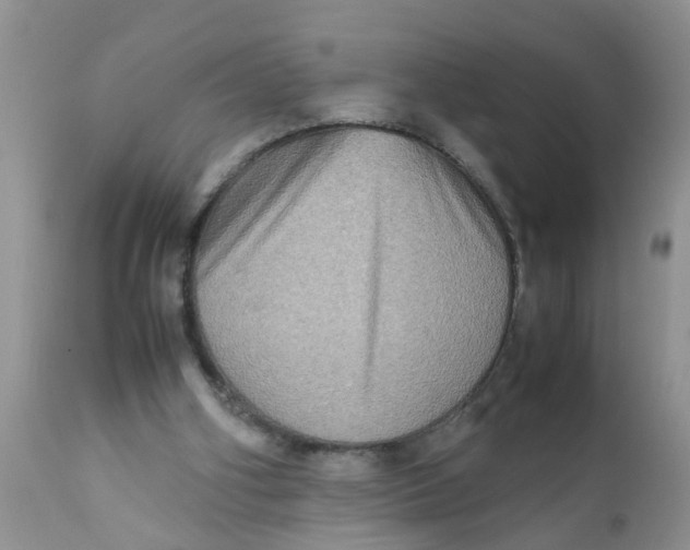 X0000111900106200908171248