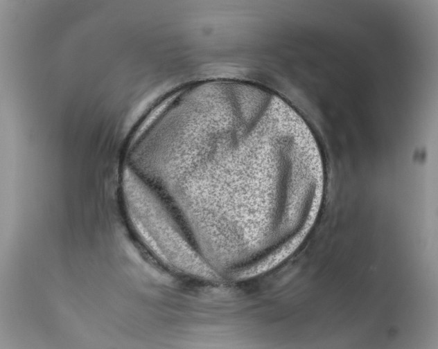 X0000111900107200908171248