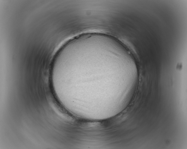 X0000111900108200908171248