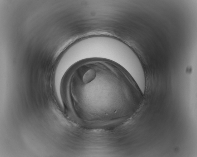 X0000111900112200908171248