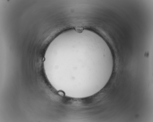 X0000111900113200908171248