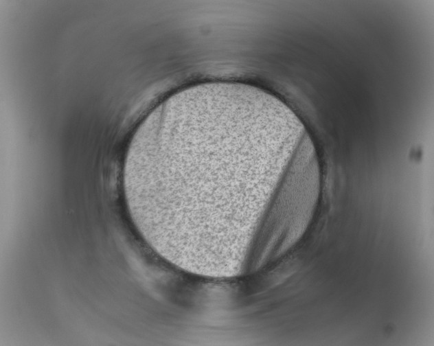 X0000111900115200908171248