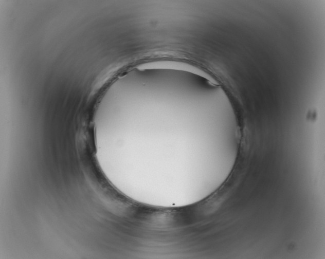 X0000111900116200908171248