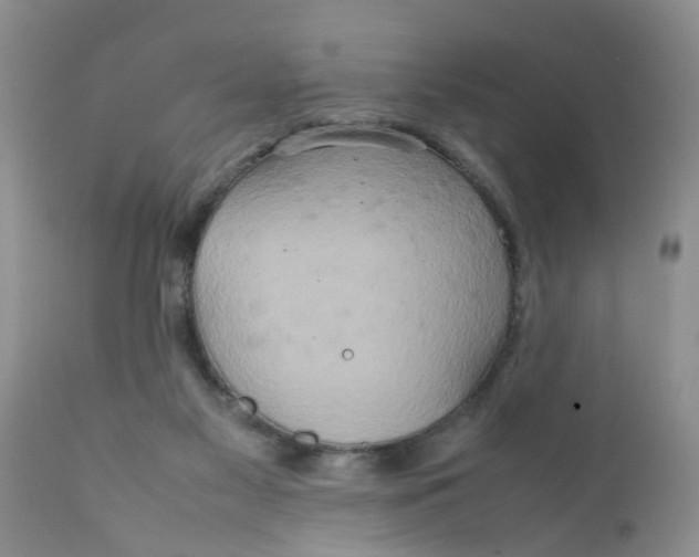 X0000111900117200908171248